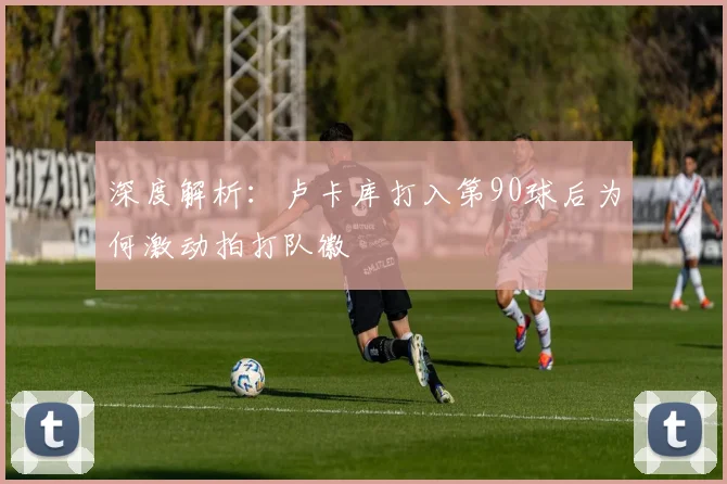 深度解析:卢卡库打入第90球后为何激动拍打队徽