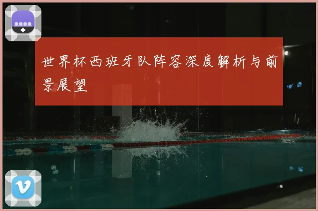世界杯西班牙队阵容深度解析与前景展望