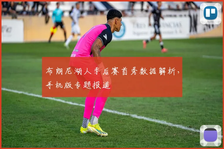 布朗尼湖人季后赛首秀数据解析,手机版专题报道